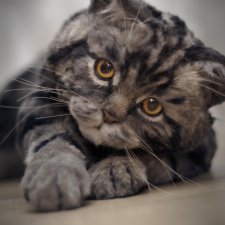 Британская мраморная кошечка. Реалистичная игрушка