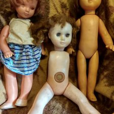 Новая жизнь старых куколок