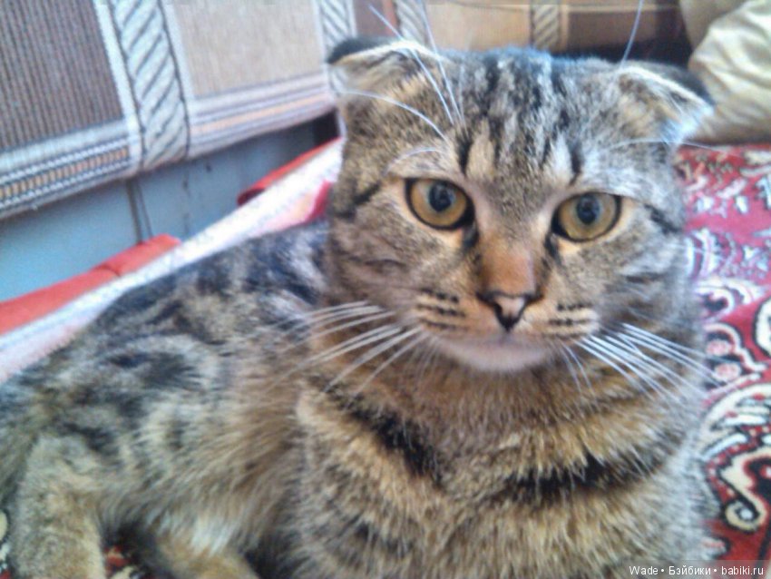 привет вам от Филюльки))