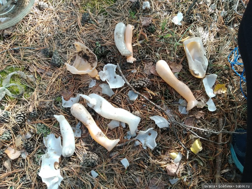 Куклы в лесу — Игрушки СССР и советского детства: резиновые