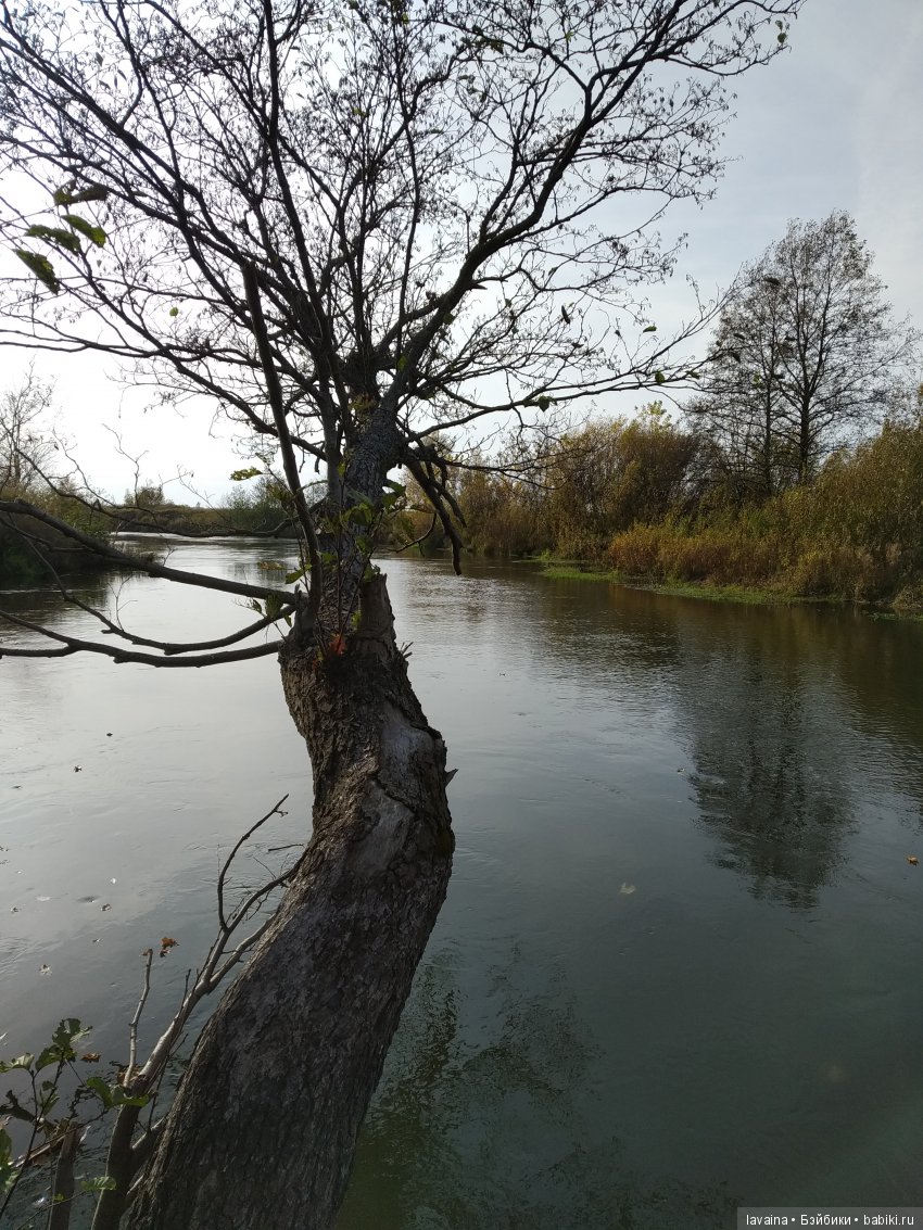 Куклы в лесу — Игрушки СССР и советского детства: резиновые (фото 4)