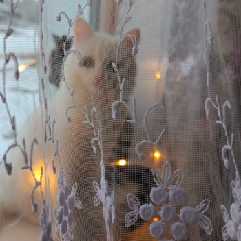 Новогодний декор своими руками.