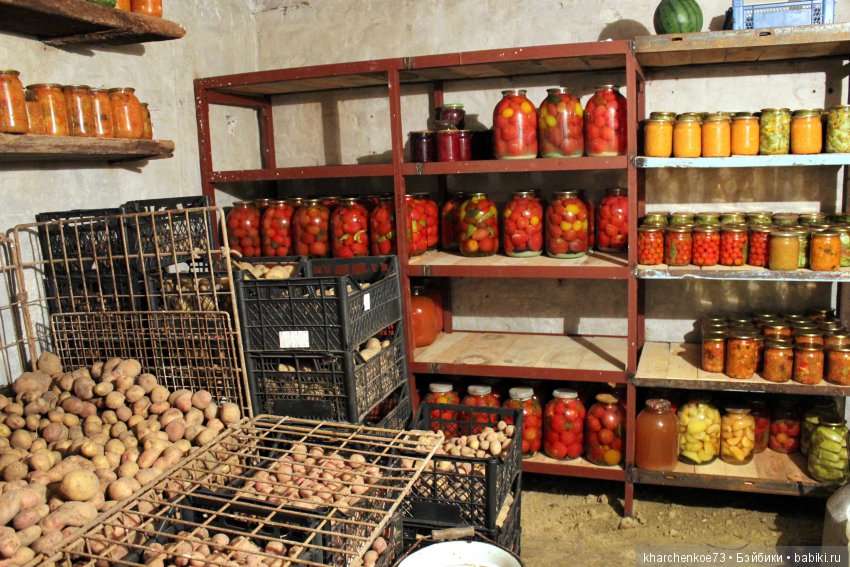 Дениска ушёл в подполье — Куклы Sylvia Natterer (Сильвия Наттерер): Gotz (фото 7)