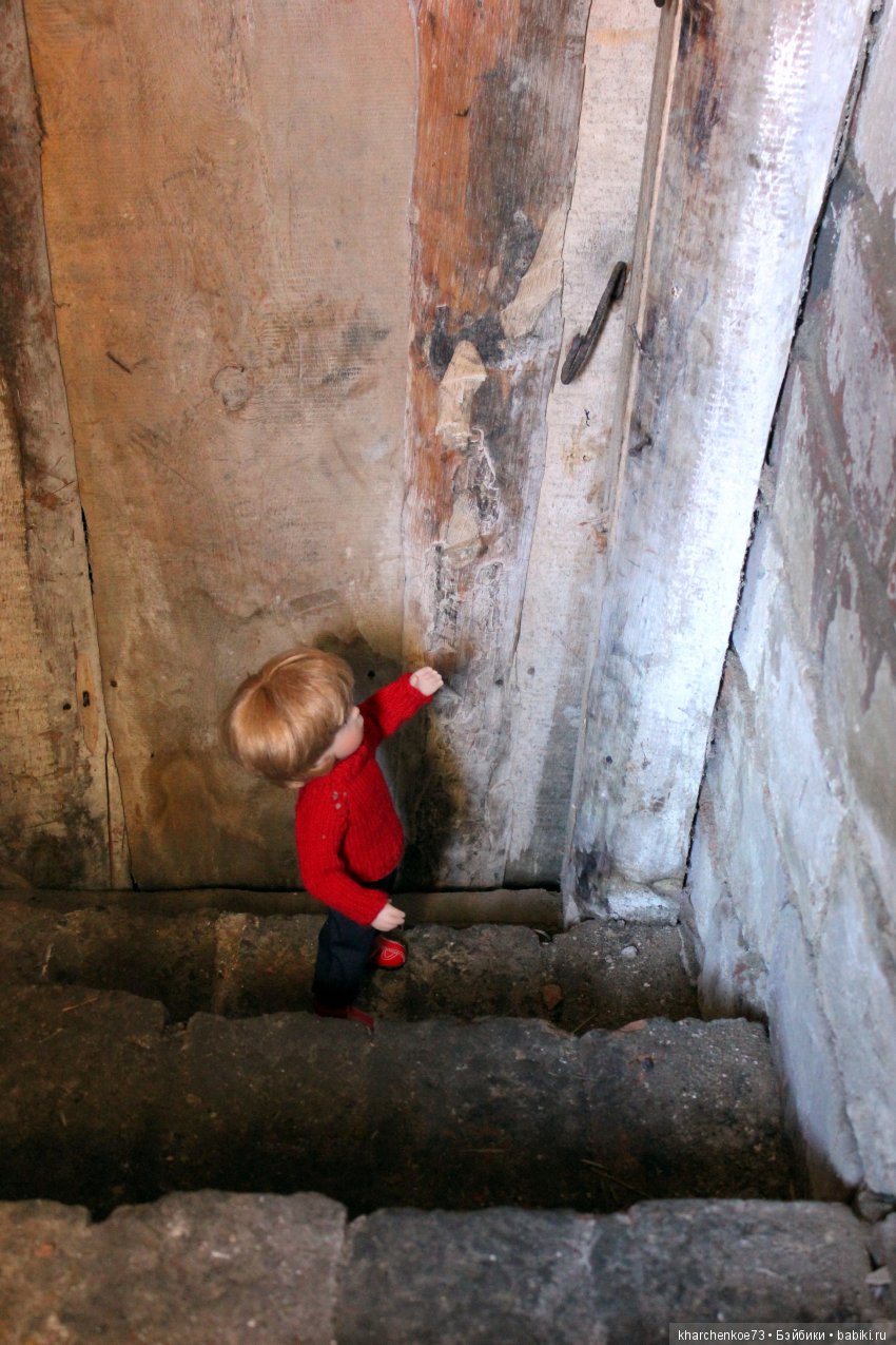 Дениска ушёл в подполье — Куклы Sylvia Natterer (Сильвия Наттерер): Gotz