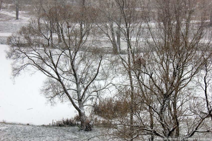 Мой первенец из семейства Цвергназе - Леннарт