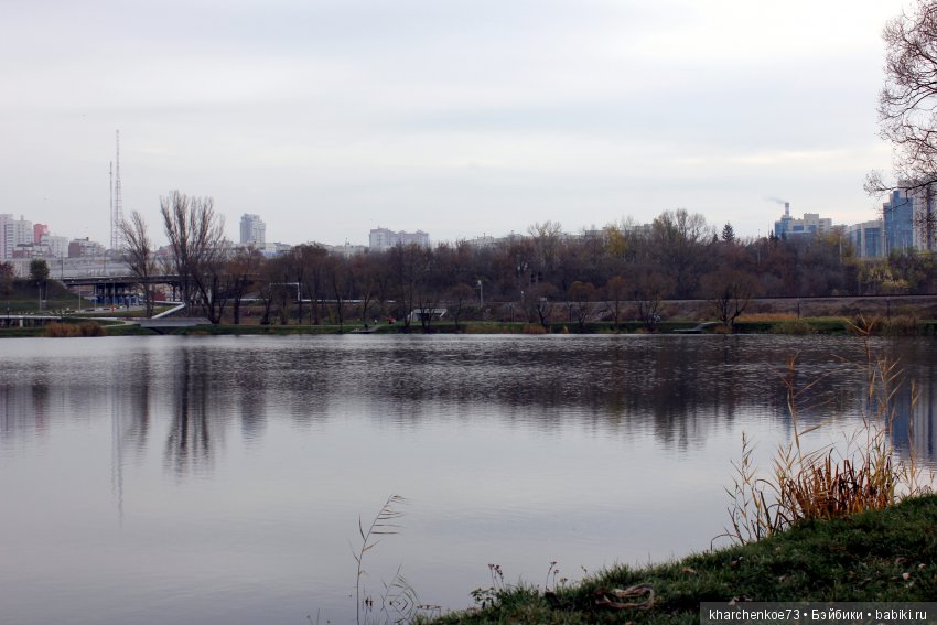 Мой первенец из семейства Цвергназе - Леннарт