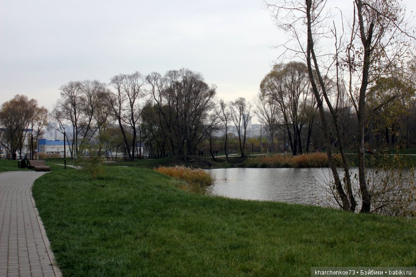 Мой первенец из семейства Цвергназе - Леннарт
