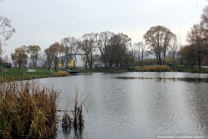 Мой первенец из семейства Цвергназе - Леннарт (фото 5)