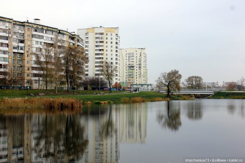 Мой первенец из семейства Цвергназе - Леннарт (фото 7)