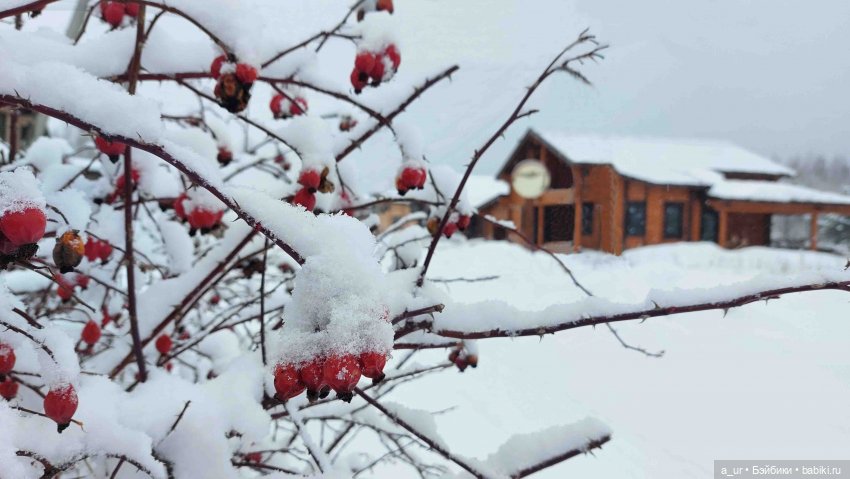 Пахнет весной! Пахнет тяжёлым физическим трудом (фото 2)