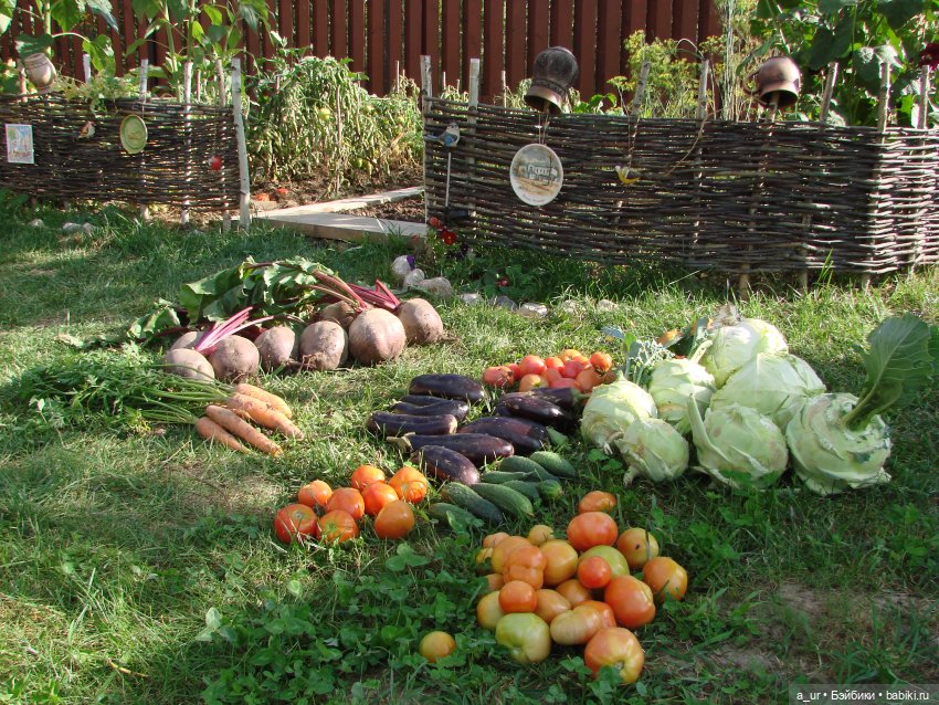 Пахнет весной! Пахнет тяжёлым физическим трудом