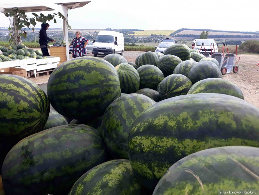 Пахнет весной! Пахнет тяжёлым физическим трудом