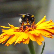 Пахнет весной!  Пахнет тяжёлым физическим трудом!