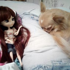 Девочки от Groove. Pullip