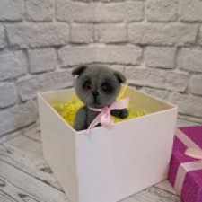 "Укотовление"