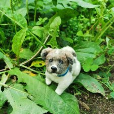 Прогулка с Шариком