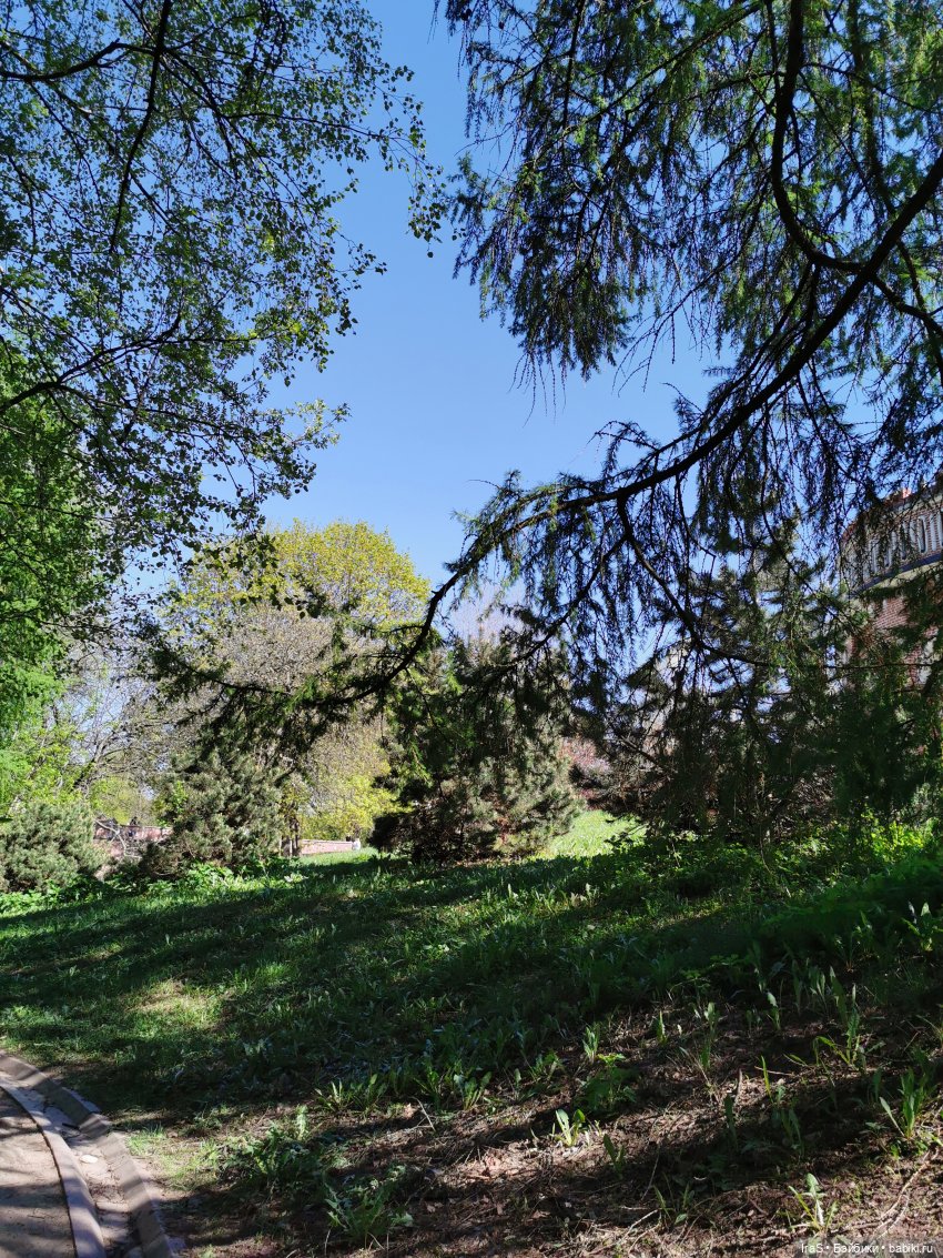 Снова гуляем 🌞 — Экшн