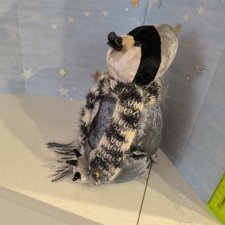 пингвин в шарфике