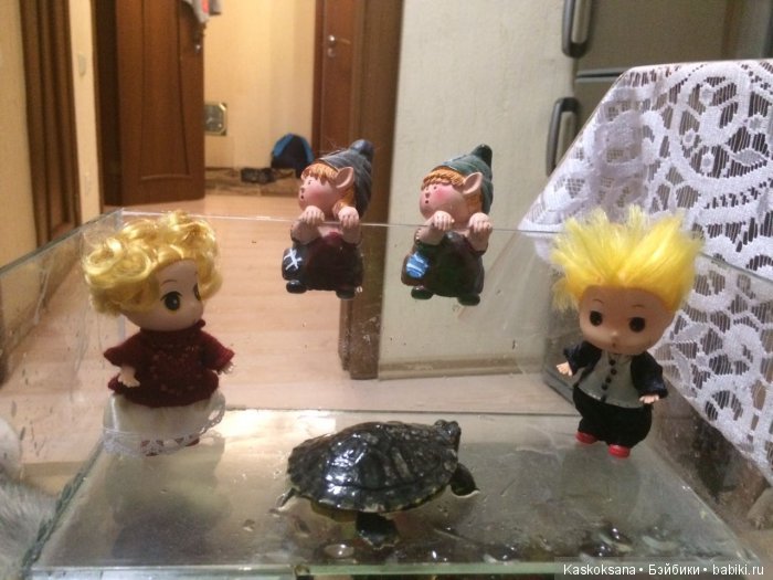 Обыкновенные чудеса продолжаются: путешествие малышат-любимчиков | Бэйбики Обыкновенные чудеса продолжаются: путешествие малышат-любимчиков (фото 4)