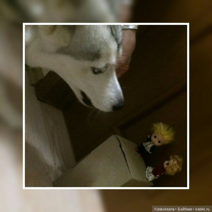 Обыкновенные чудеса продолжаются: путешествие малышат-любимчиков | Бэйбики Обыкновенные чудеса продолжаются: путешествие малышат-любимчиков (фото 7)