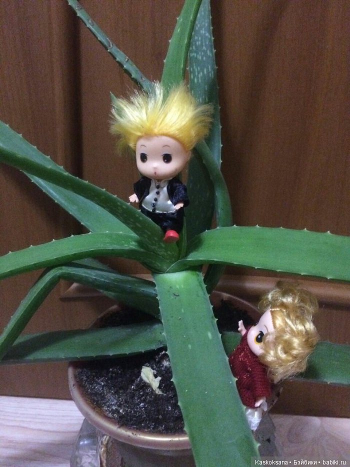 Обыкновенные чудеса продолжаются: путешествие малышат-любимчиков | Бэйбики Обыкновенные чудеса продолжаются: путешествие малышат-любимчиков