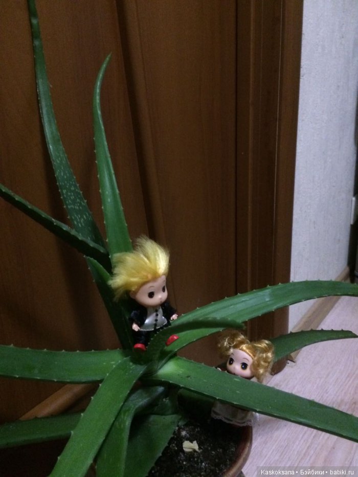 Обыкновенные чудеса продолжаются: путешествие малышат-любимчиков | Бэйбики Обыкновенные чудеса продолжаются: путешествие малышат-любимчиков