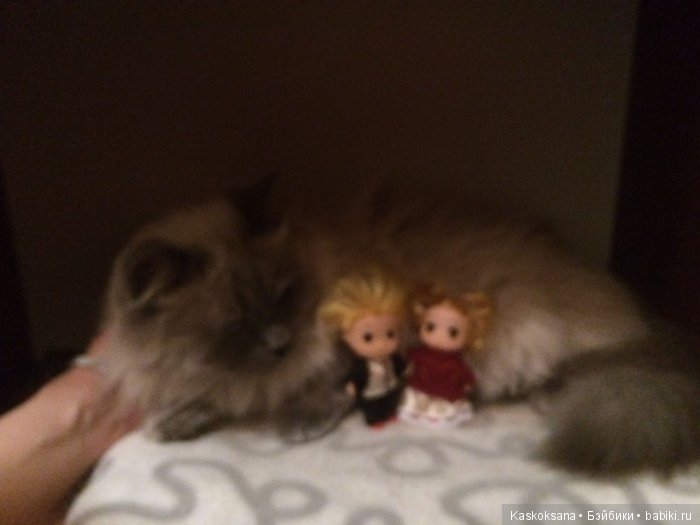 Обыкновенные чудеса продолжаются: путешествие малышат-любимчиков | Бэйбики Обыкновенные чудеса продолжаются: путешествие малышат-любимчиков