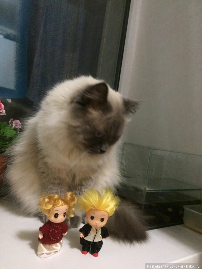 Обыкновенные чудеса продолжаются: путешествие малышат-любимчиков | Бэйбики Обыкновенные чудеса продолжаются: путешествие малышат-любимчиков (фото 10)