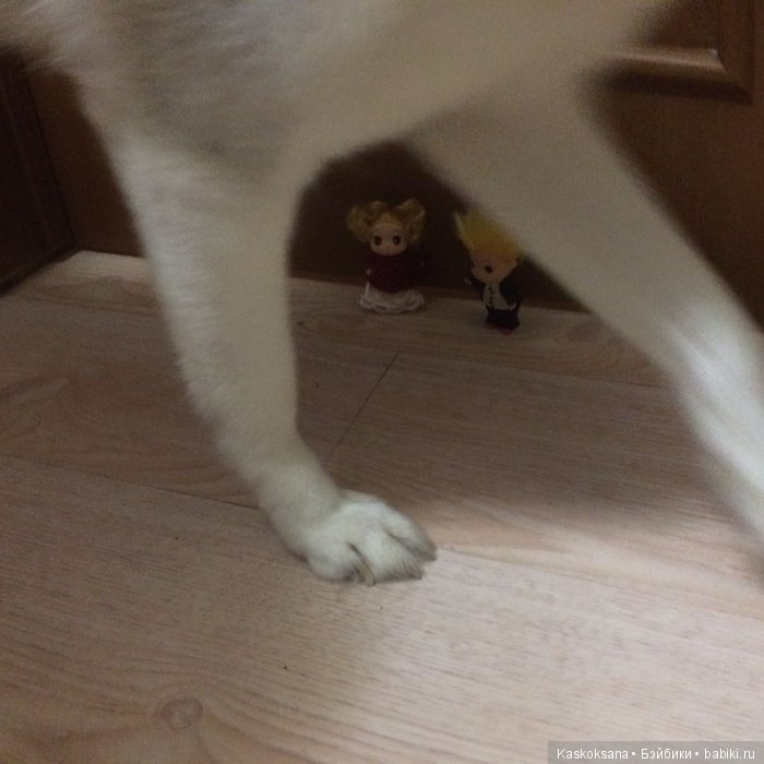 Обыкновенные чудеса продолжаются: путешествие малышат-любимчиков | Бэйбики Обыкновенные чудеса продолжаются: путешествие малышат-любимчиков (фото 8)