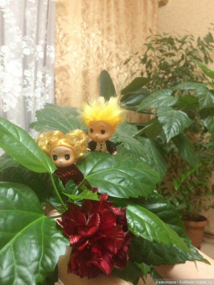 Обыкновенные чудеса продолжаются: путешествие малышат-любимчиков | Бэйбики Обыкновенные чудеса продолжаются: путешествие малышат-любимчиков