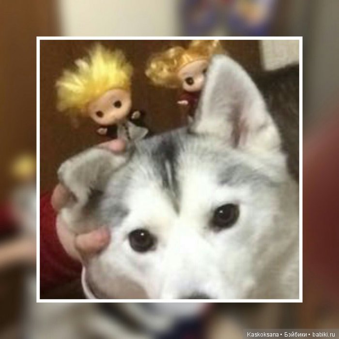 Обыкновенные чудеса продолжаются: путешествие малышат-любимчиков | Бэйбики Обыкновенные чудеса продолжаются: путешествие малышат-любимчиков (фото 9)