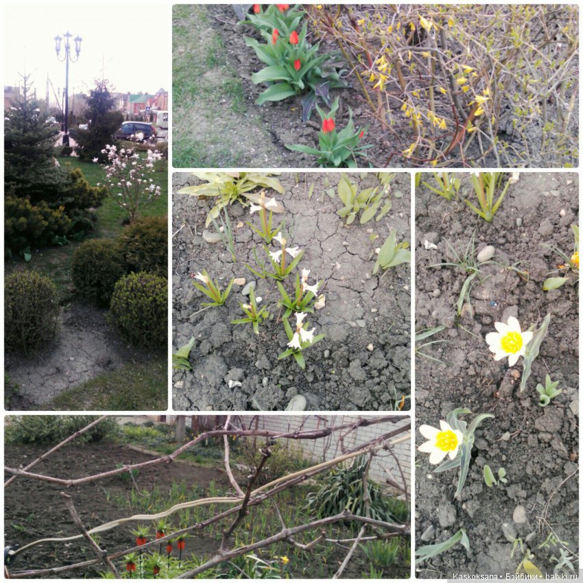 Пасхальная фотосессия любимчиков (фото 10)