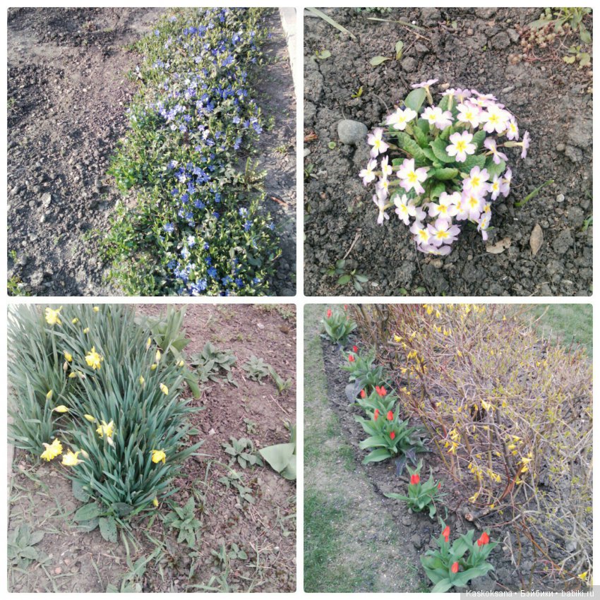 Пасхальная фотосессия любимчиков (фото 7)