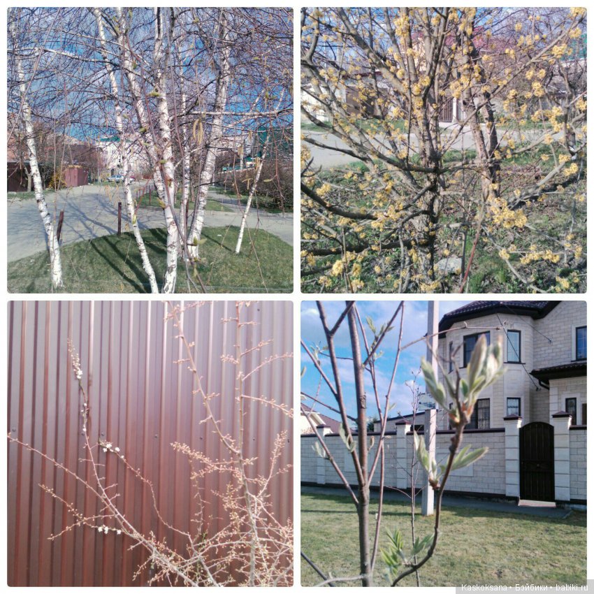 Пасхальная фотосессия любимчиков (фото 8)