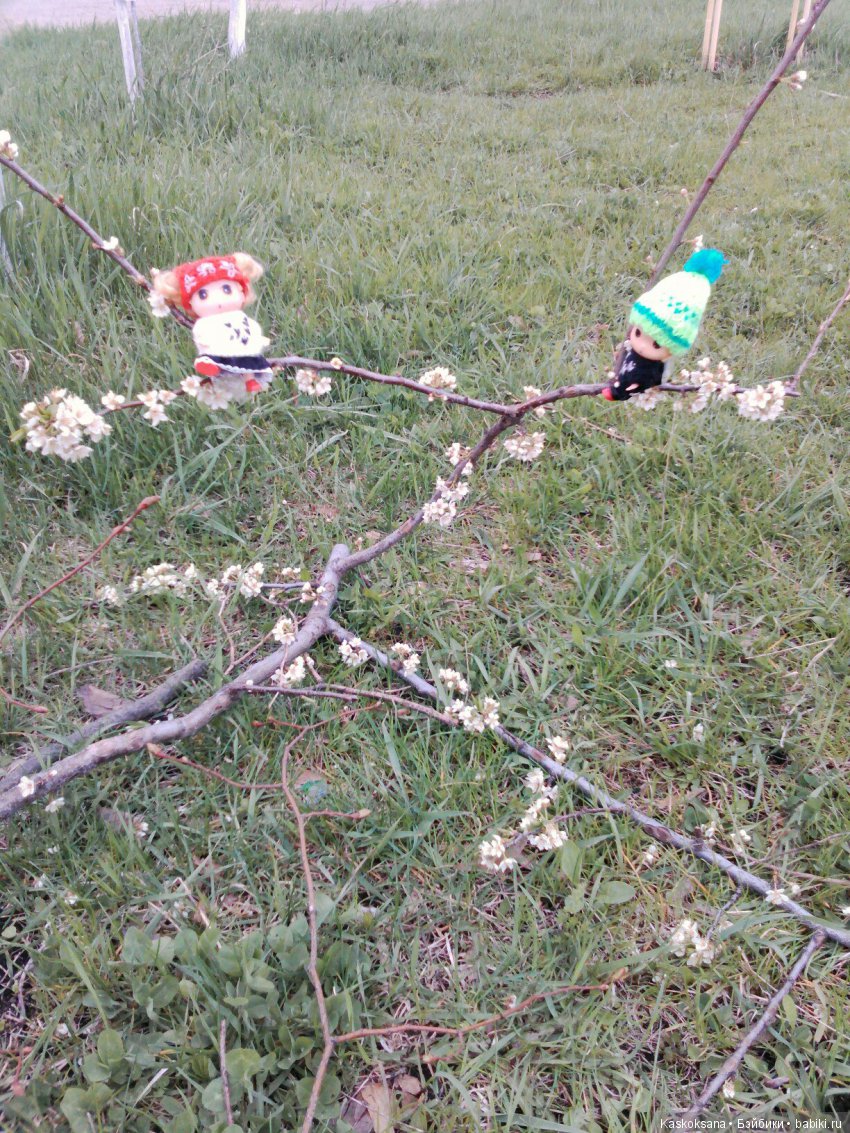 Весенние истории любимчиков: Выходные