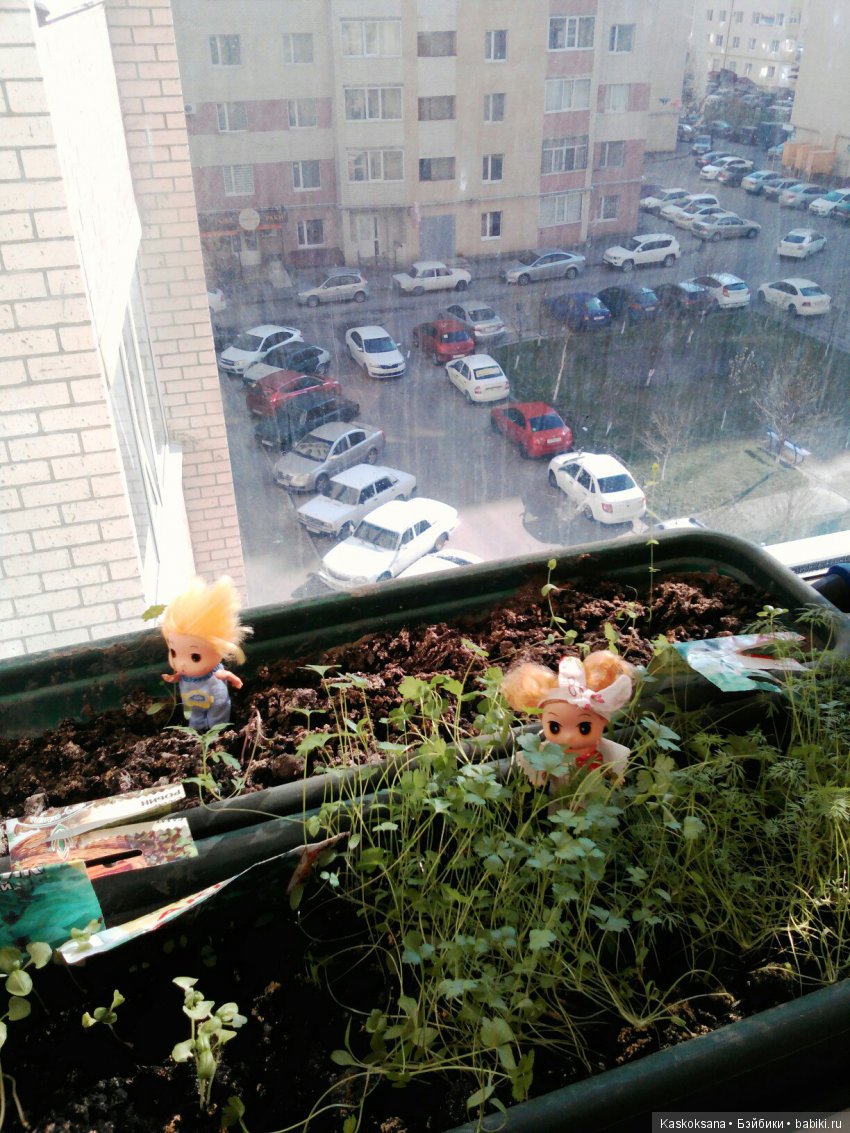 Весенние истории любимчиков: Выходные (фото 6)