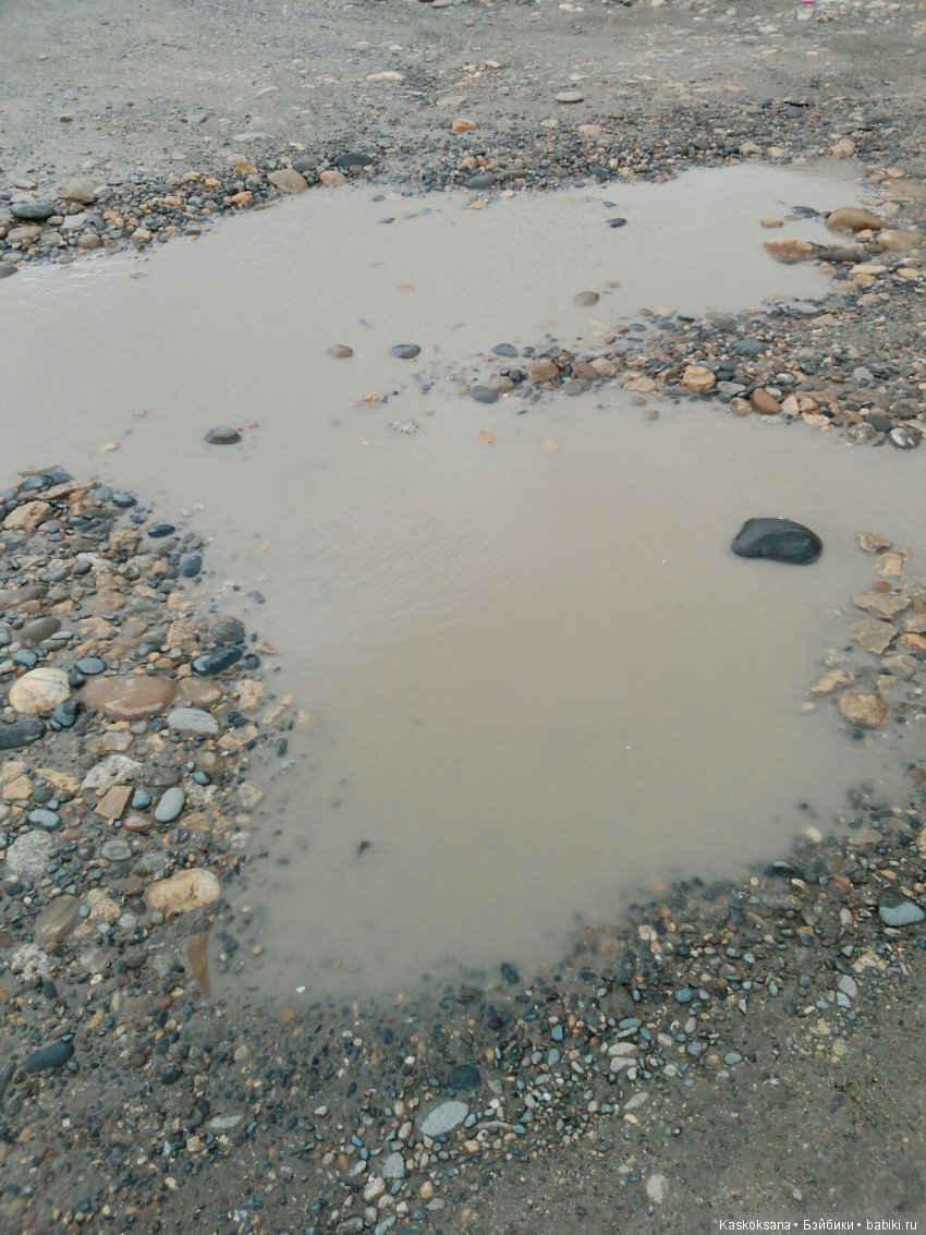 Весенние истории любимчиков: Выходные