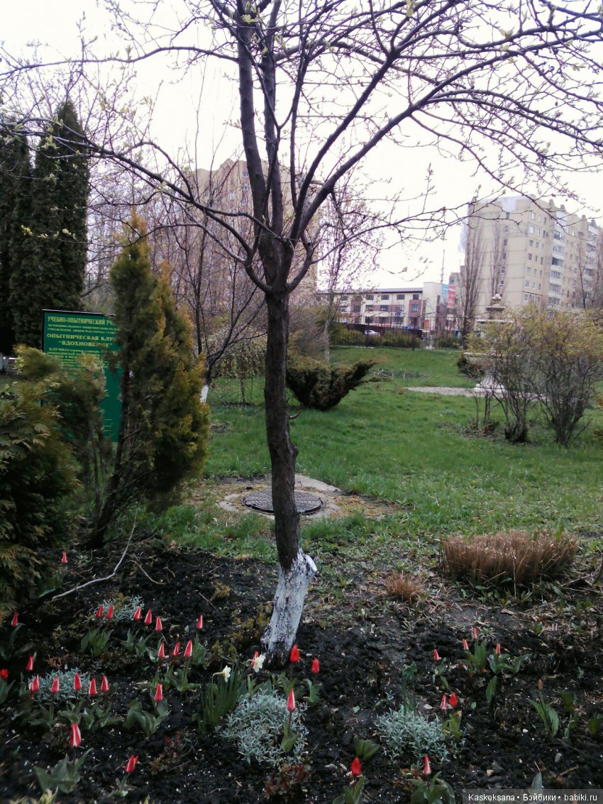 Весенние истории любимчиков: Выходные