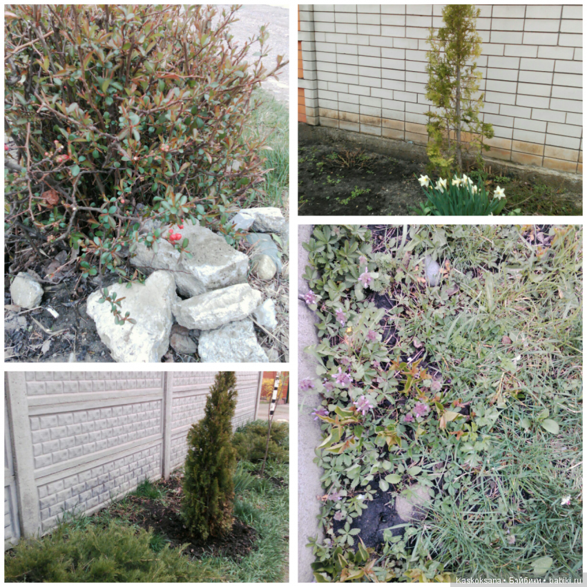 Весенние истории любимчиков: Выходные