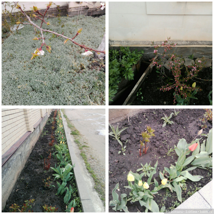 Весенние истории любимчиков: Выходные