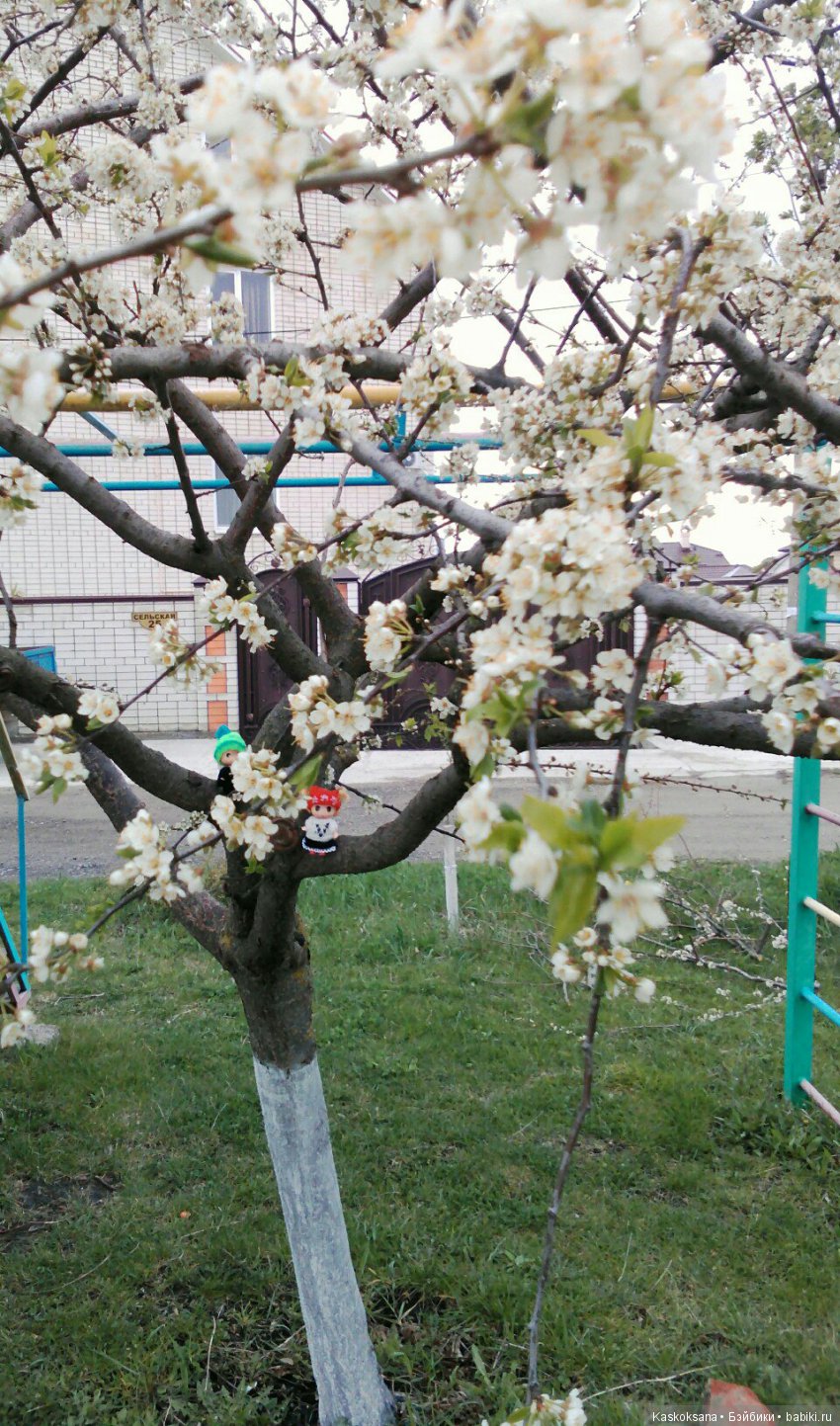 Весенние истории любимчиков: Выходные