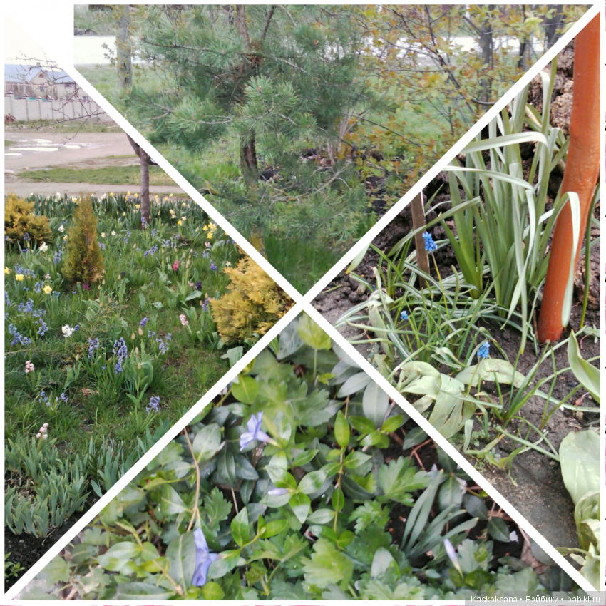 Весенние истории любимчиков: Выходные