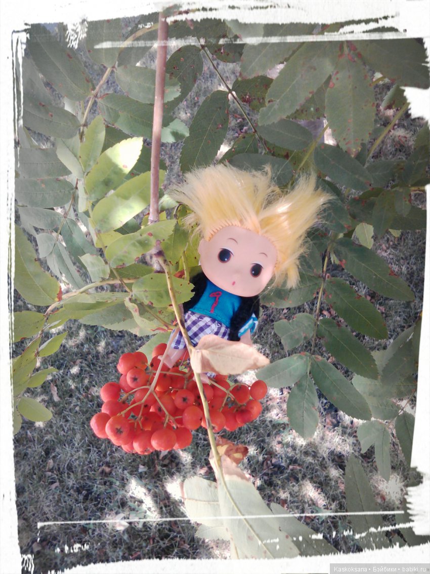 Фотоальбом любимчиков. Июль (фото 7)