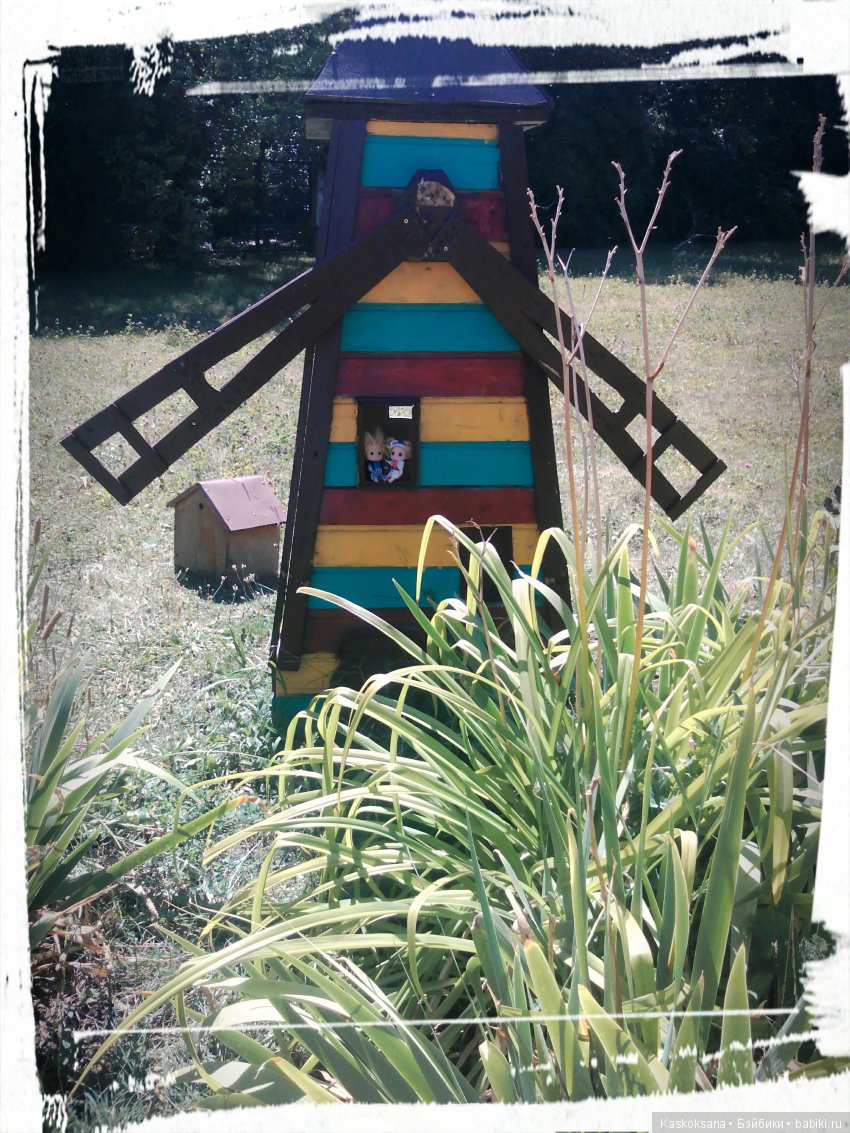 Фотоальбом любимчиков. Июль