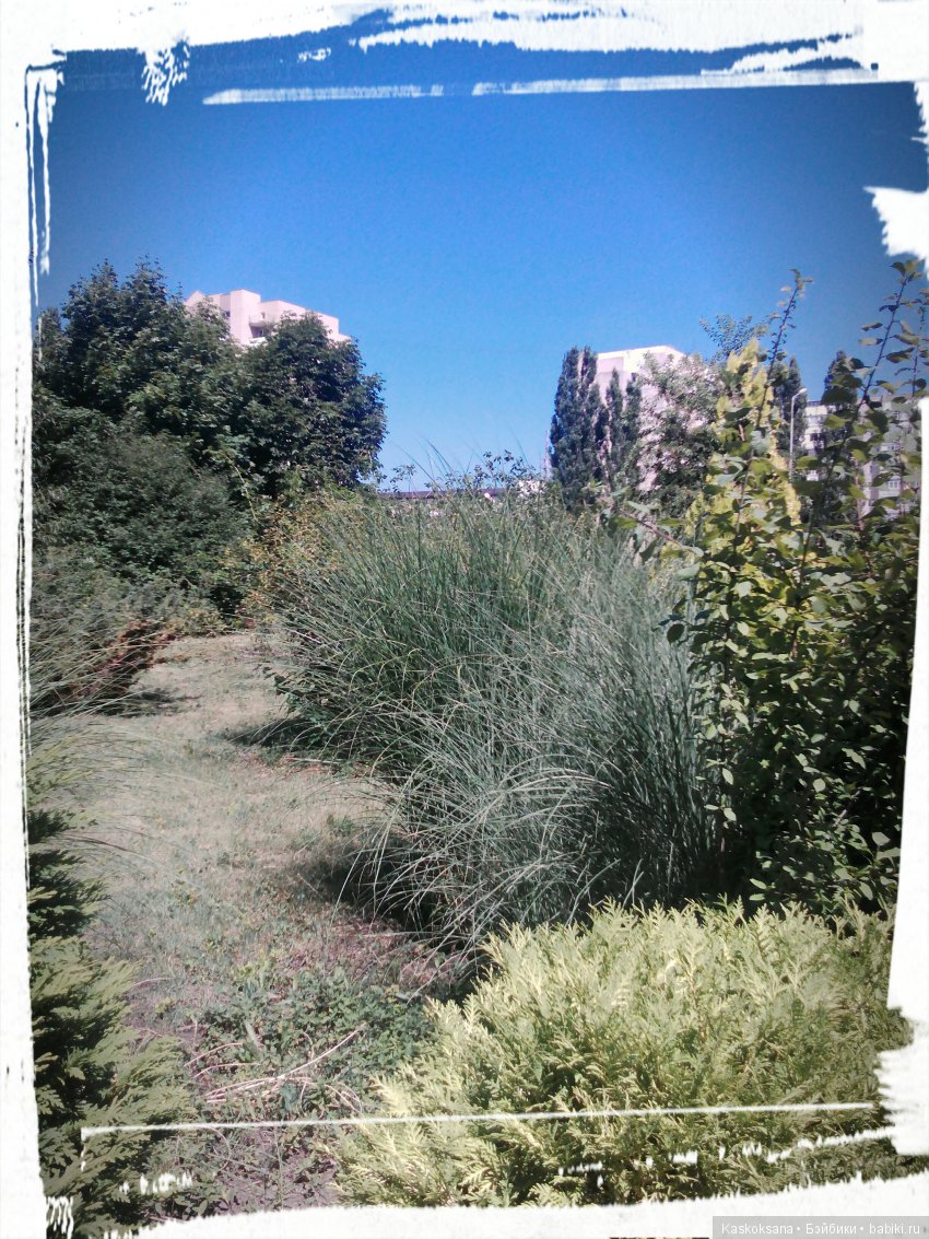 Фотоальбом любимчиков. Июль