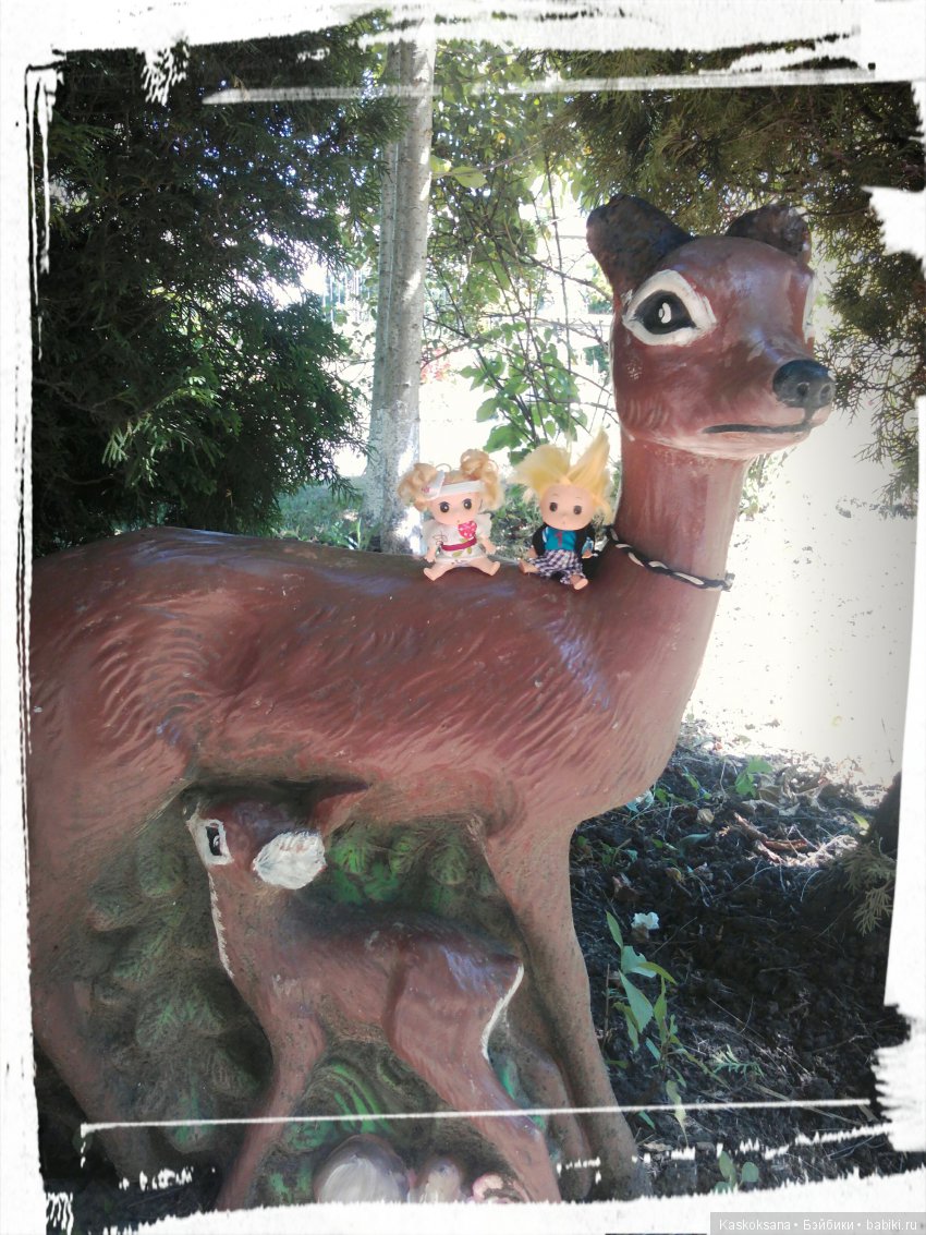 Фотоальбом любимчиков. Июль