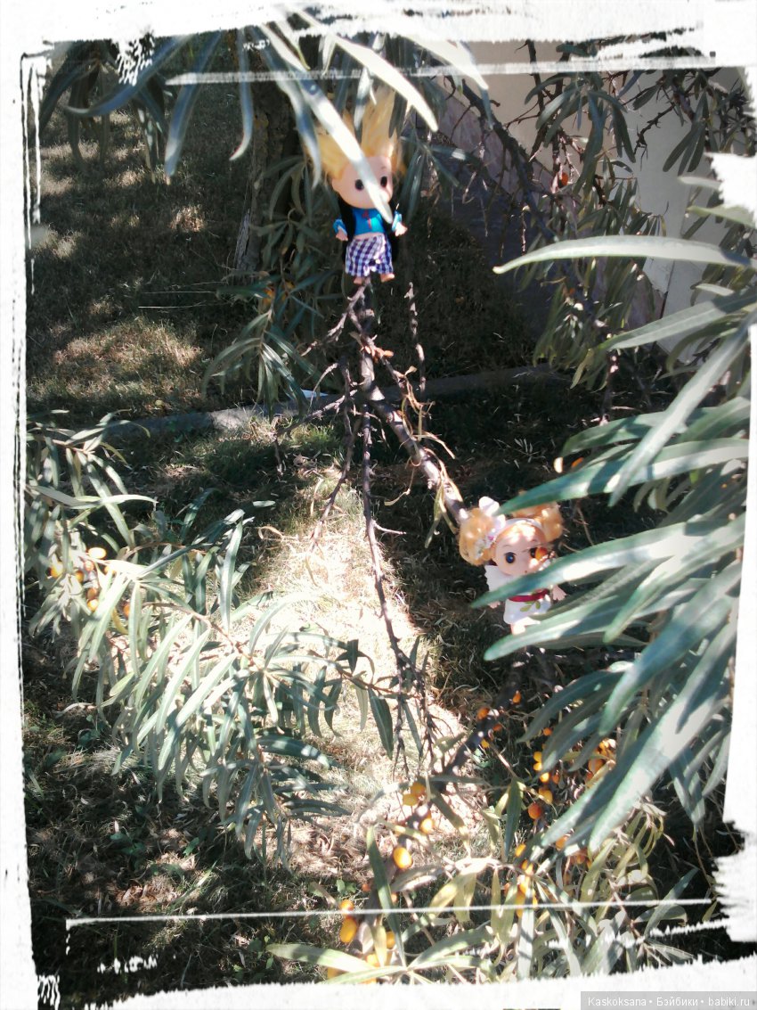 Фотоальбом любимчиков. Июль (фото 6)