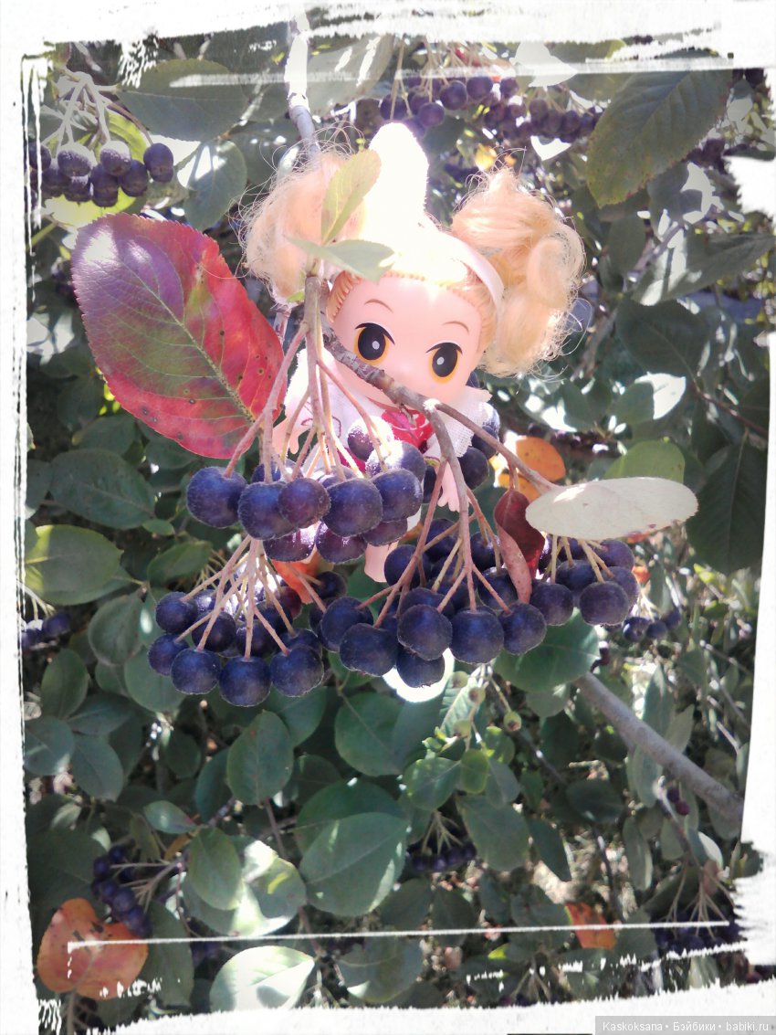 Фотоальбом любимчиков. Июль (фото 8)