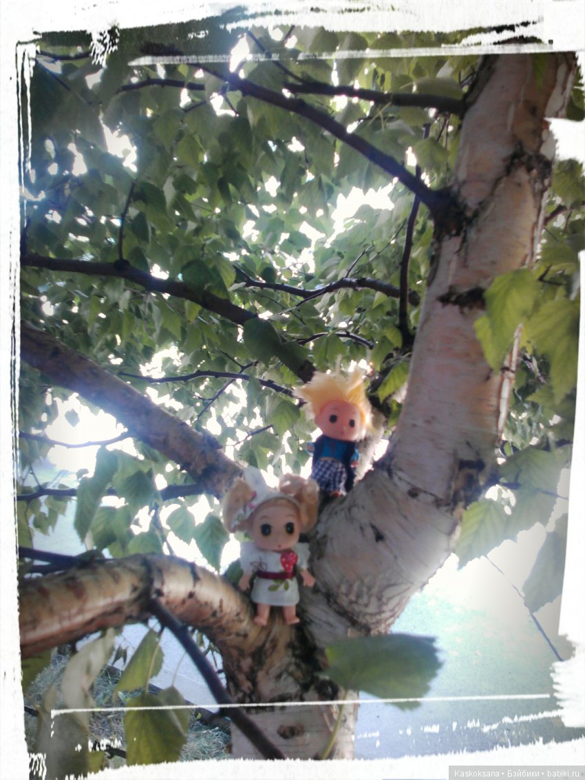 Фотоальбом любимчиков. Июль (фото 5)