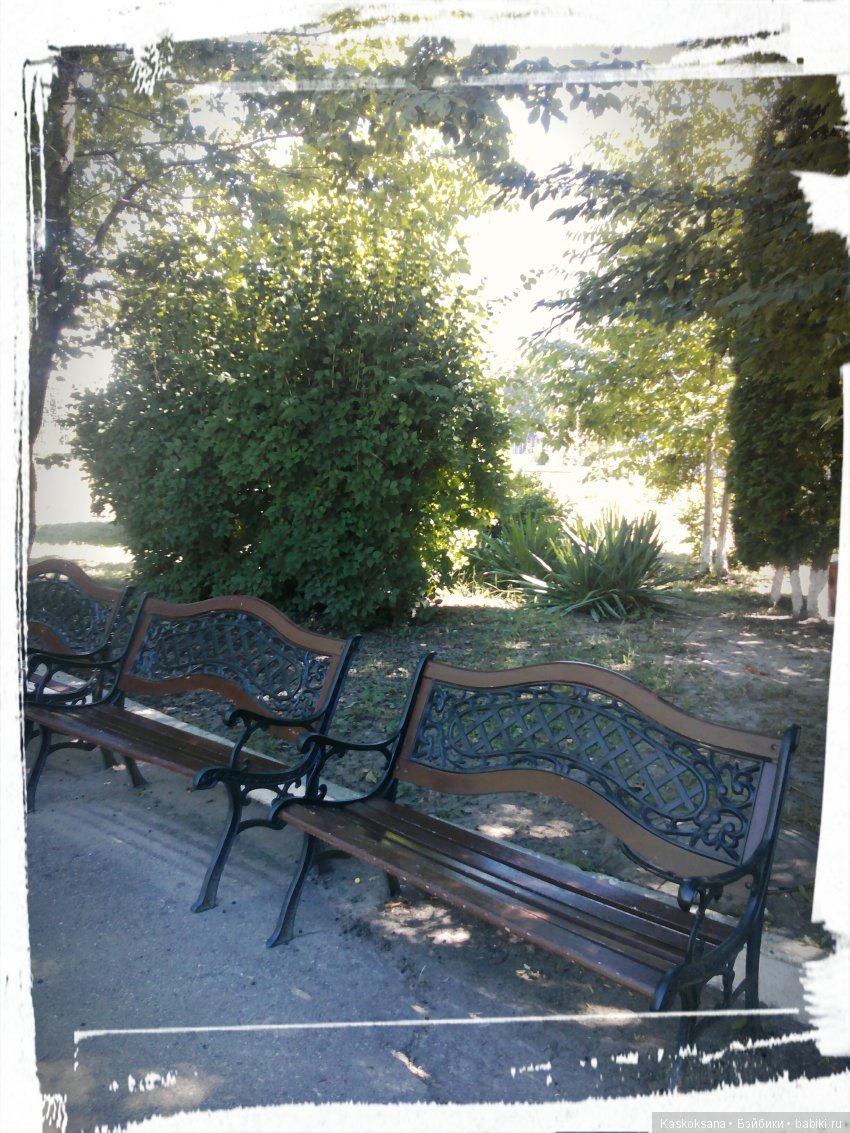 Фотоальбом любимчиков. Июль